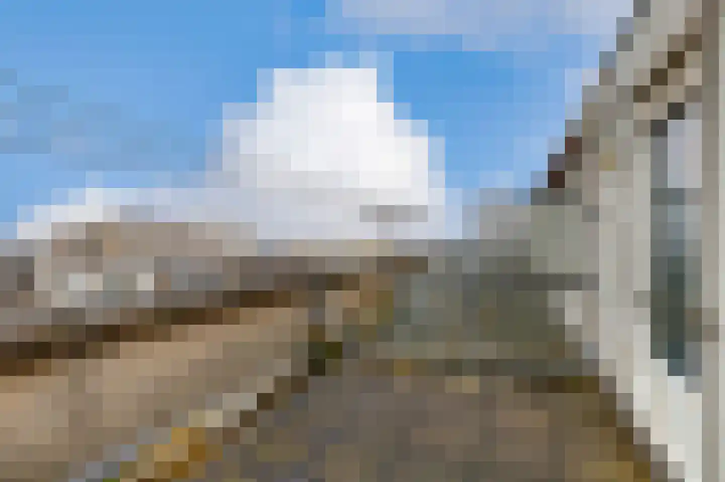 Opera 53 Zaandam thumbnail 4