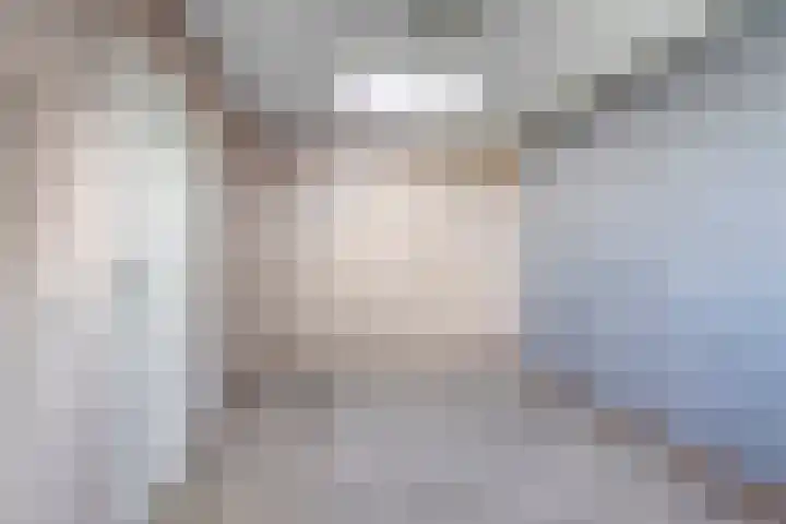 Opera 73 Zaandam thumbnail 22