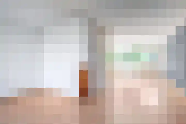 Opera 73 Zaandam thumbnail 6