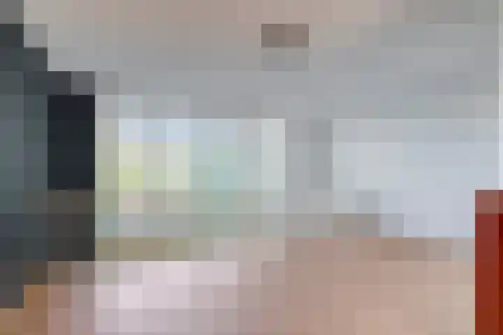 Opera 73 Zaandam thumbnail 7