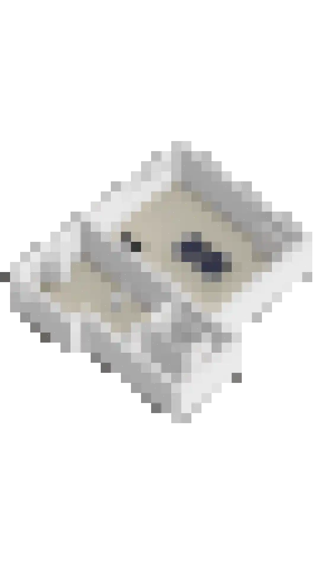 Opera 80 Eindhoven thumbnail 62