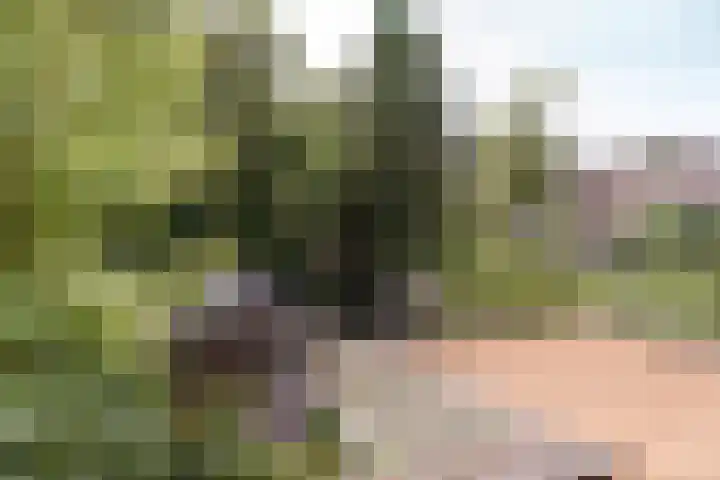 Operadreef 16 Harderwijk thumbnail 12