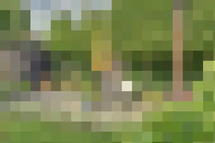 Operadreef 16 Harderwijk thumbnail 41