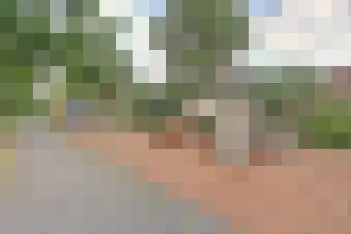 Operadreef 16 Harderwijk thumbnail 7