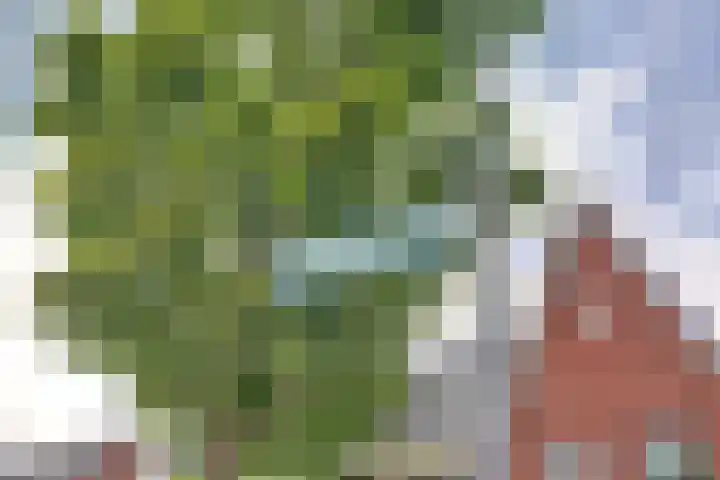 Operadreef 16 Harderwijk thumbnail 8