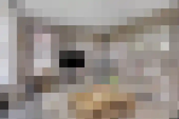 Operalaan 121 Oldenzaal thumbnail 10