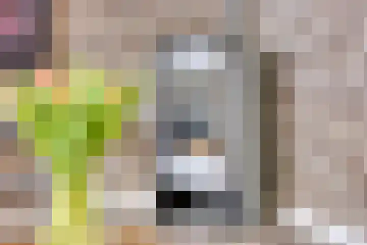 Operalaan 121 Oldenzaal thumbnail 11