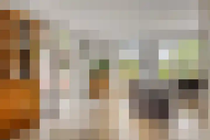 Operalaan 121 Oldenzaal thumbnail 14