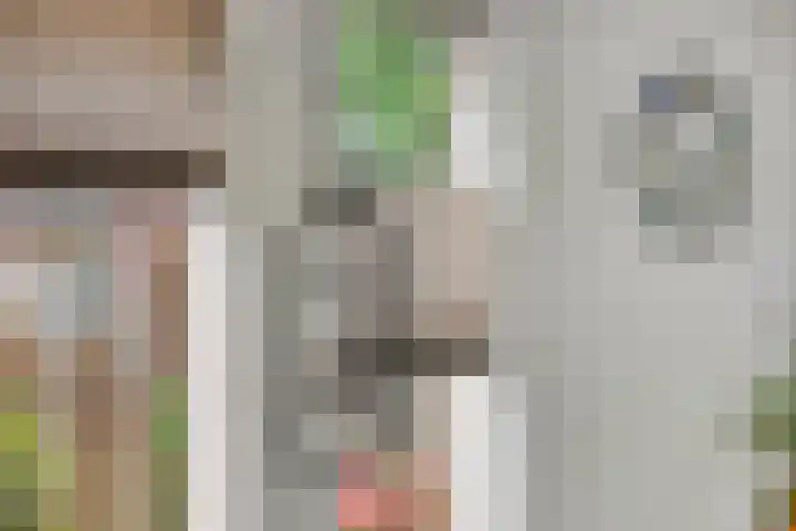 Operalaan 121 Oldenzaal thumbnail 15