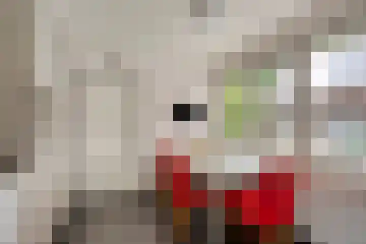 Operalaan 121 Oldenzaal thumbnail 22