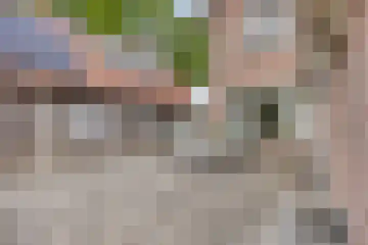 Operalaan 121 Oldenzaal thumbnail 37
