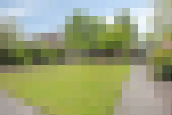 Operalaan 121 Oldenzaal thumbnail 39