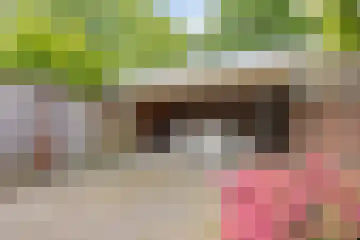 Operalaan 121 Oldenzaal thumbnail 42