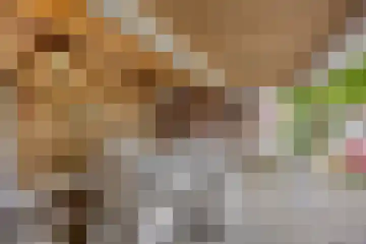 Operalaan 121 Oldenzaal thumbnail 43