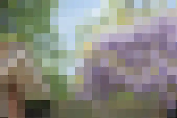 Operalaan 121 Oldenzaal thumbnail 45