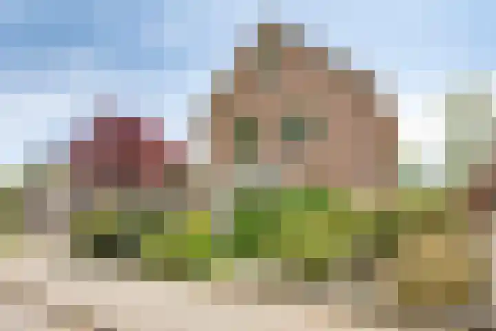 Operalaan 121 Oldenzaal thumbnail 47