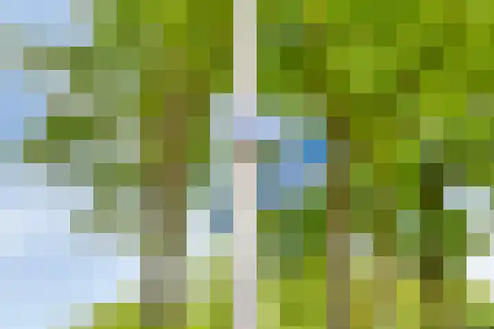 Operalaan 121 Oldenzaal thumbnail 48