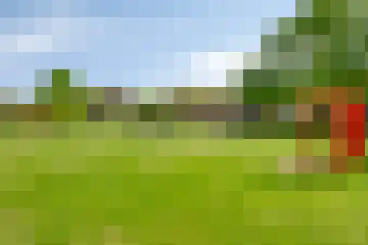 Operalaan 121 Oldenzaal thumbnail 52