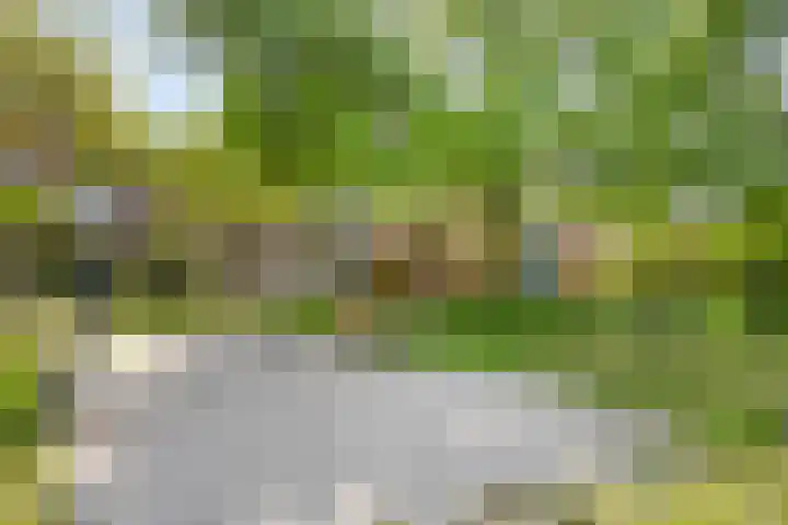 Operalaan 121 Oldenzaal thumbnail 53