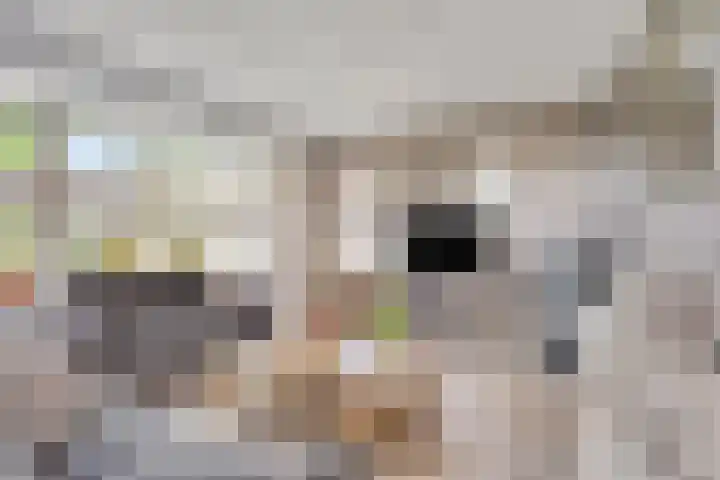 Operalaan 121 Oldenzaal thumbnail 9