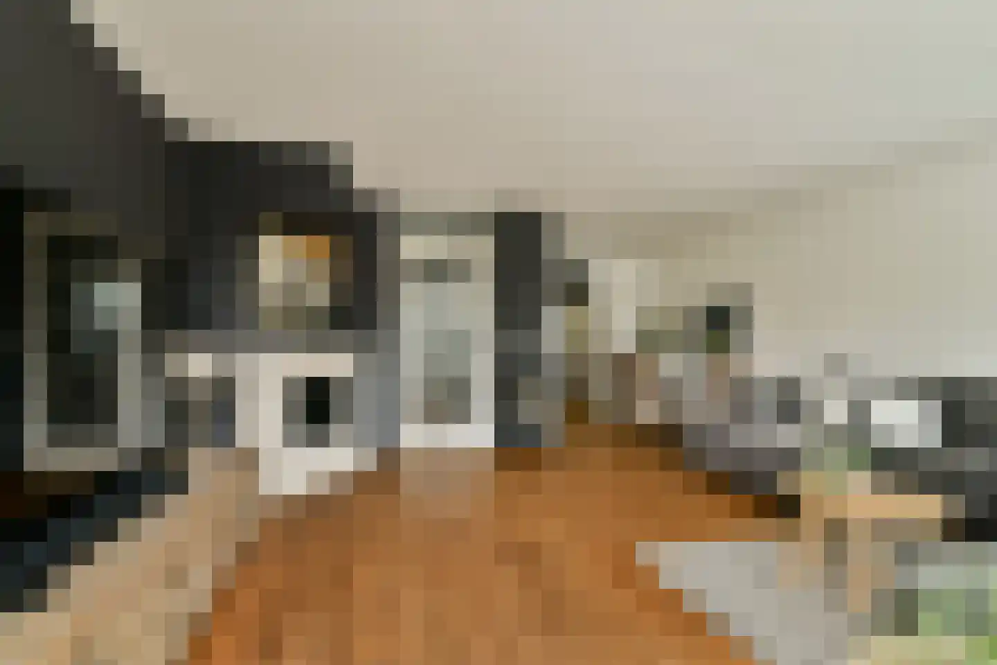 Operalaan 21 Gouda thumbnail 5