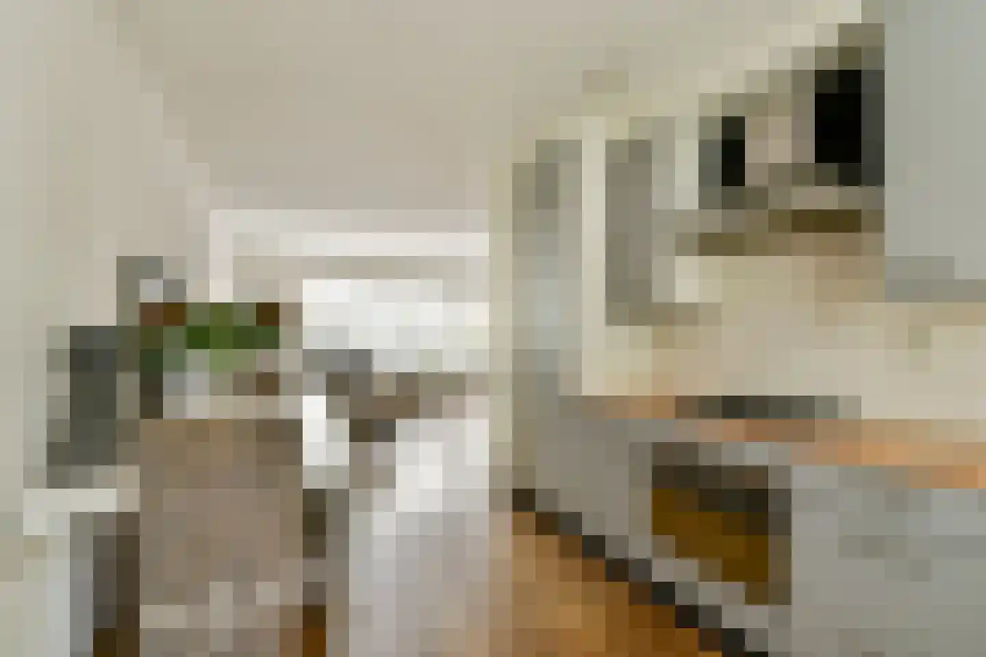 Operalaan 21 Gouda thumbnail 6