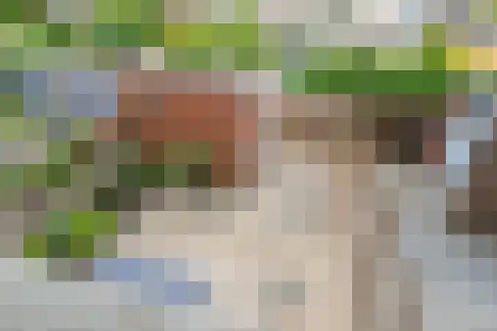 Operalaan 23 Gouda thumbnail 19