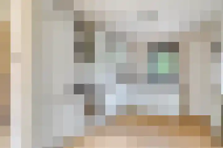 Operalaan 23 Gouda thumbnail 5