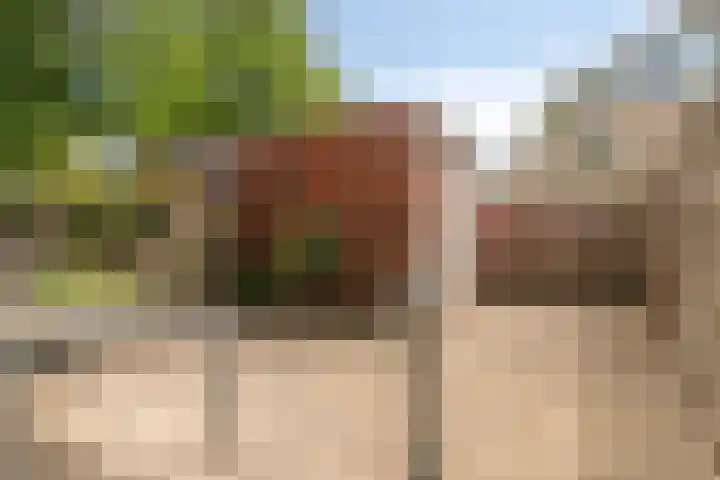 Operalaan 23 Gouda thumbnail 7