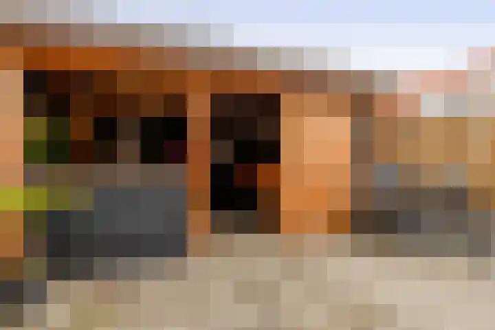Operalaan 41 Capelle aan den IJssel thumbnail 4