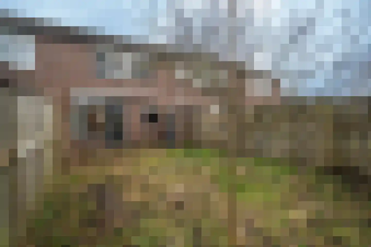 Operastraat 173 Enschede thumbnail 27