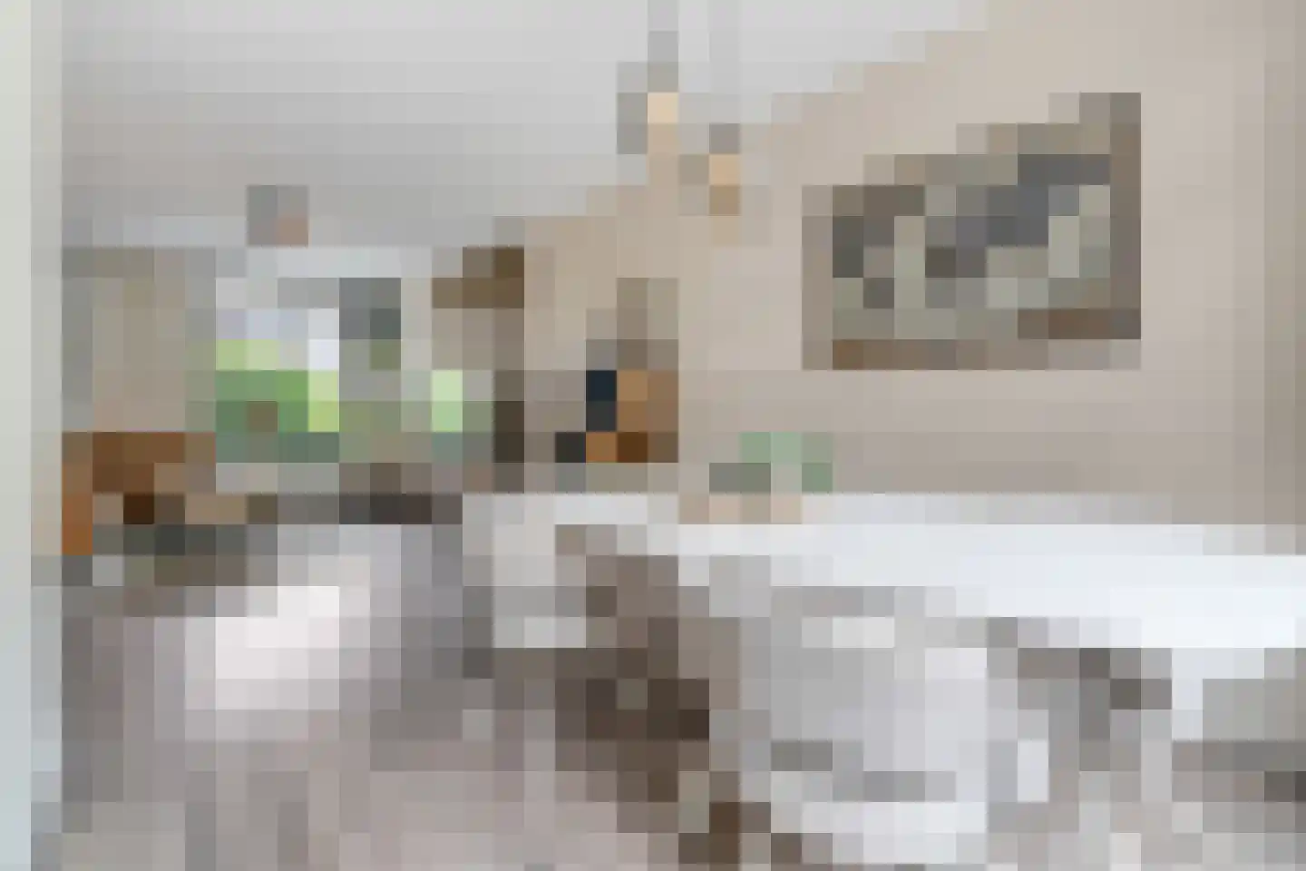 Operastraat 201 Enschede thumbnail 14