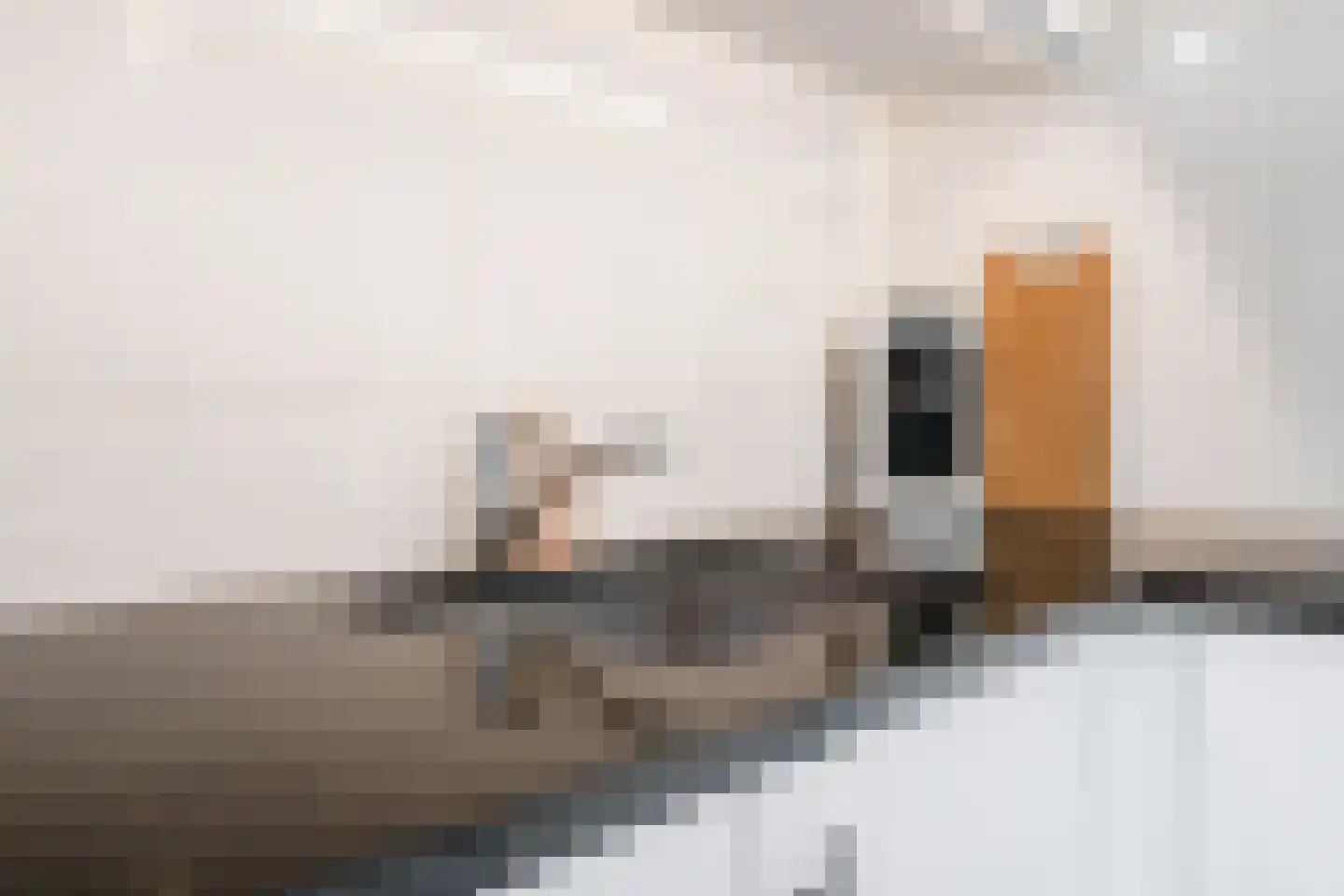 Operastraat 201 Enschede thumbnail 15