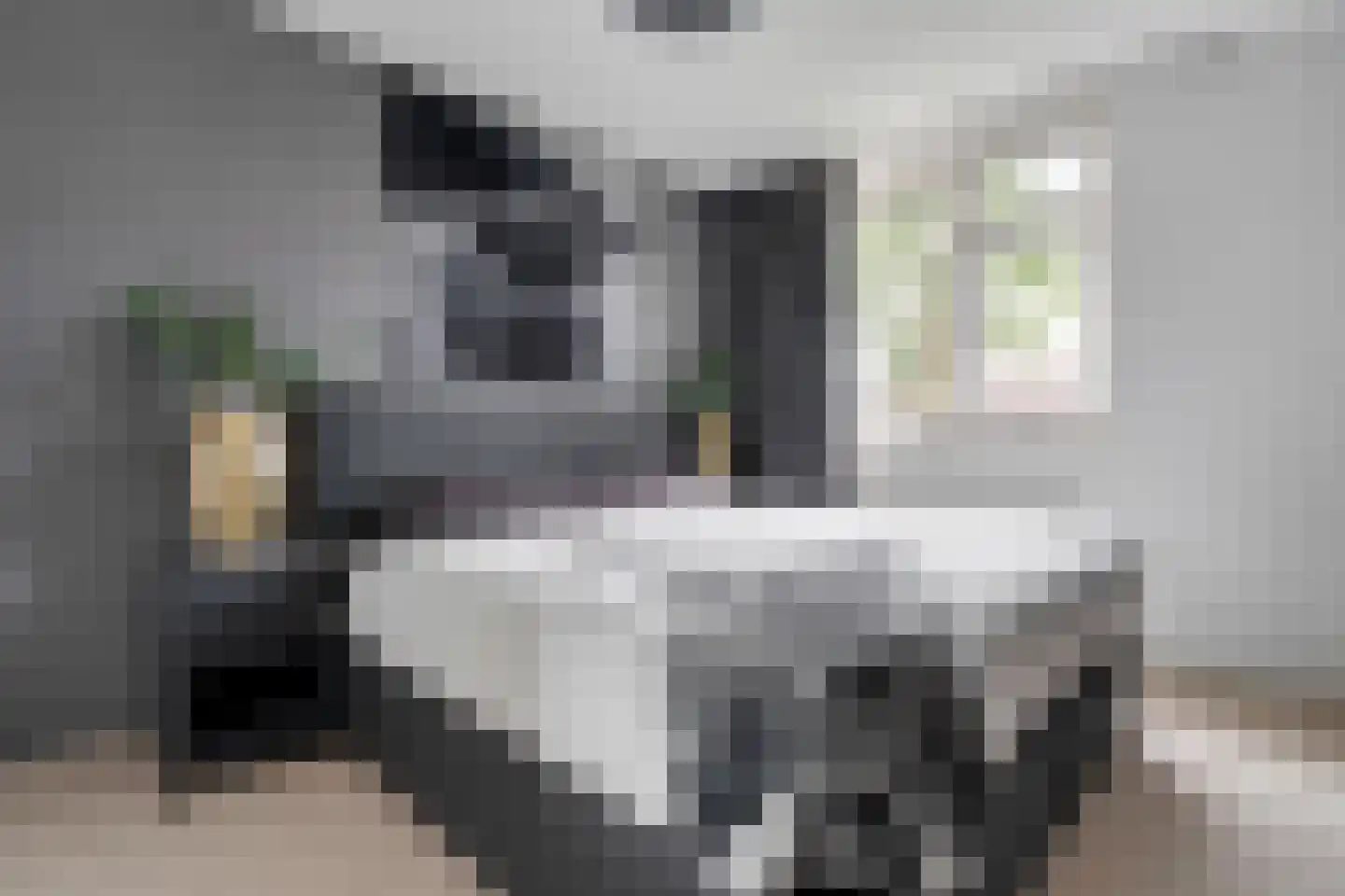 Operastraat 201 Enschede thumbnail 19