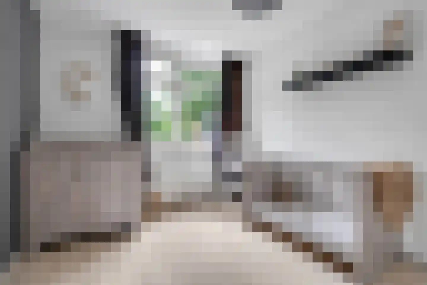 Operastraat 201 Enschede thumbnail 30