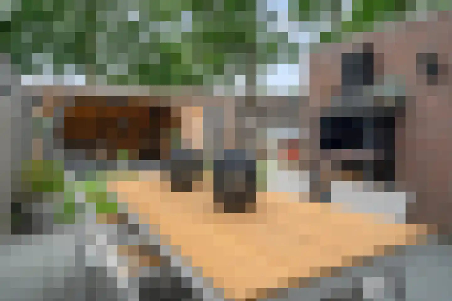 Operastraat 201 Enschede thumbnail 35
