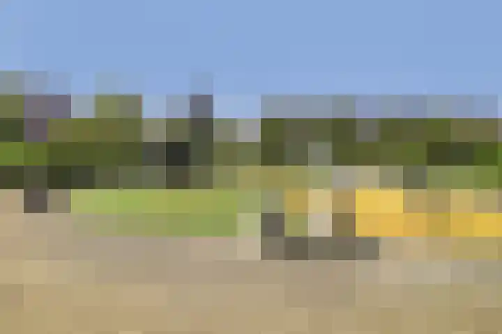 Operastraat 33 Barendrecht thumbnail 31