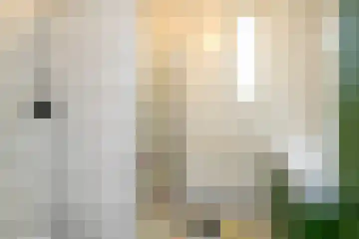 Operastraat 6 Barendrecht thumbnail 19
