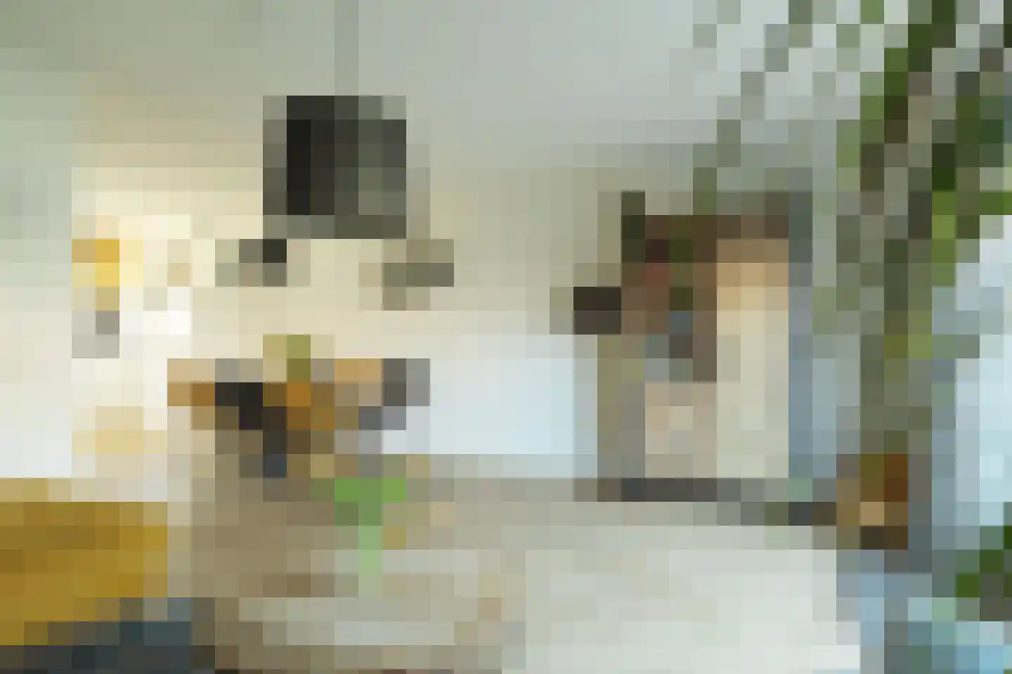 Operastraat 7 Barendrecht thumbnail 12