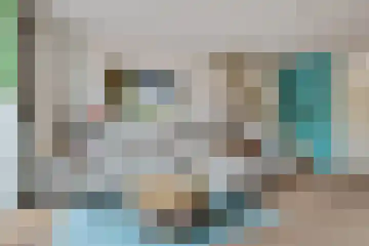 Operatie Mannahof 10 Nootdorp thumbnail 16
