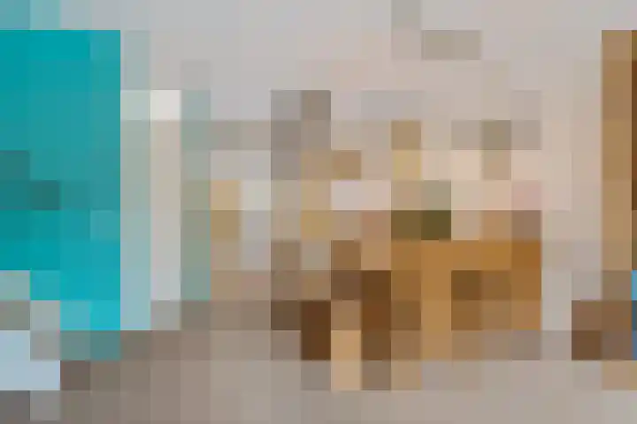 Operatie Mannahof 10 Nootdorp thumbnail 19
