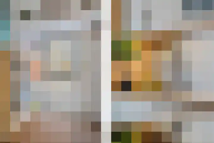 Operatie Mannahof 10 Nootdorp thumbnail 24