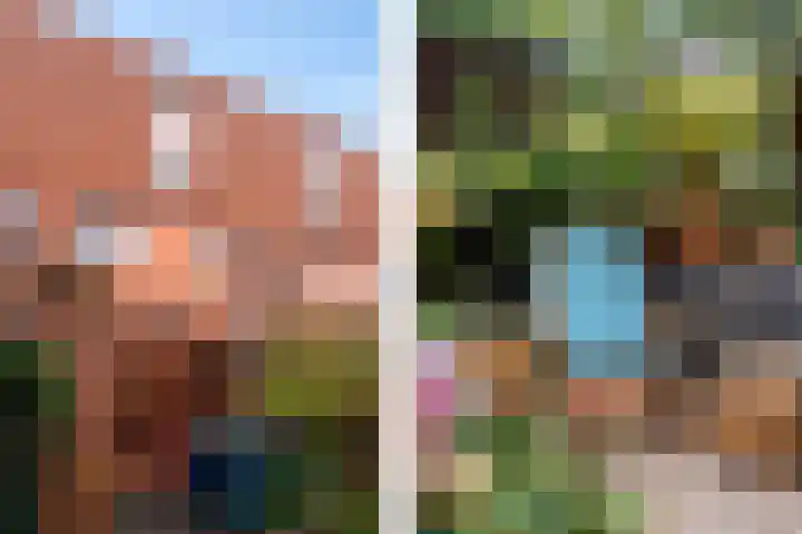 Operatie Mannahof 10 Nootdorp thumbnail 25