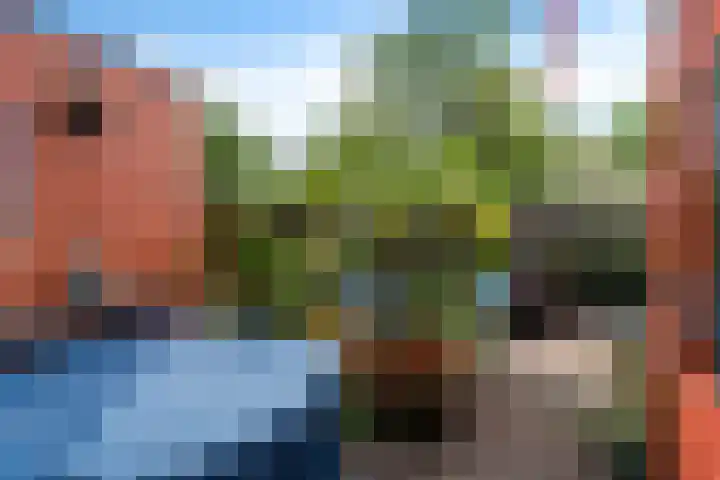 Operatie Mannahof 10 Nootdorp thumbnail 26