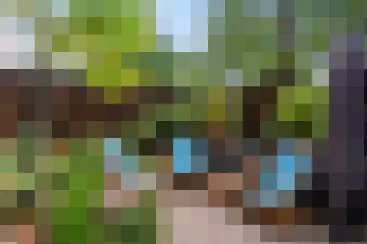 Operatie Mannahof 10 Nootdorp thumbnail 27