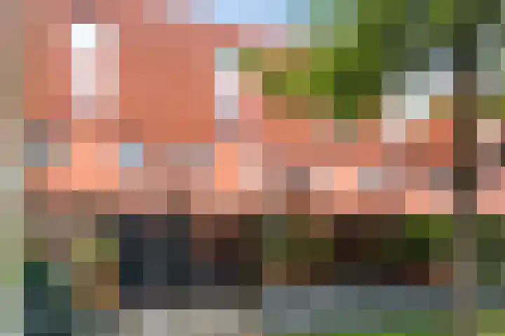 Operatie Mannahof 10 Nootdorp thumbnail 29