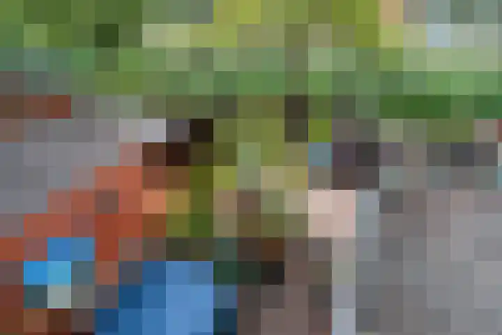 Operatie Mannahof 10 Nootdorp thumbnail 31