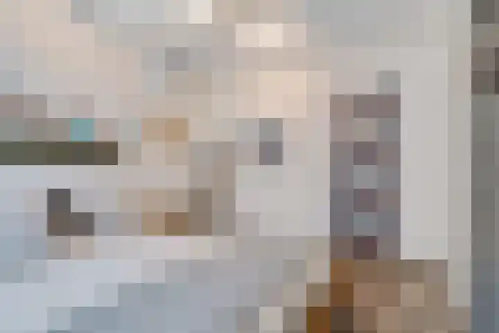 Operatie Mannahof 10 Nootdorp thumbnail 37