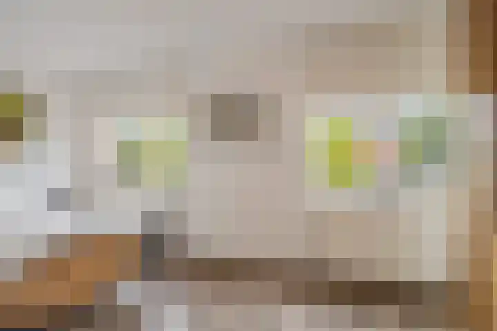 Operatie Mannahof 10 Nootdorp thumbnail 41