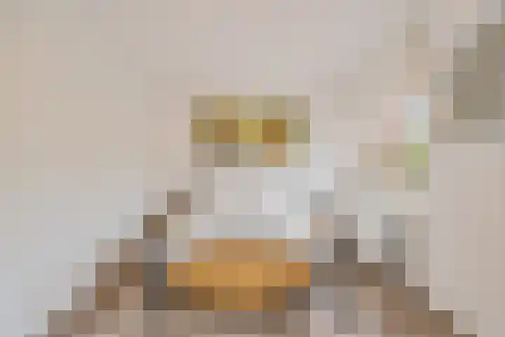Operatie Mannahof 10 Nootdorp thumbnail 42